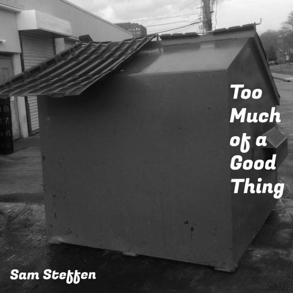 Too Much of a Good ThingAlbum Cover